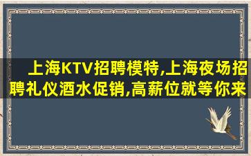 上海KTV招聘模特,上海夜场招聘礼仪酒水促销,高薪位就等你来
